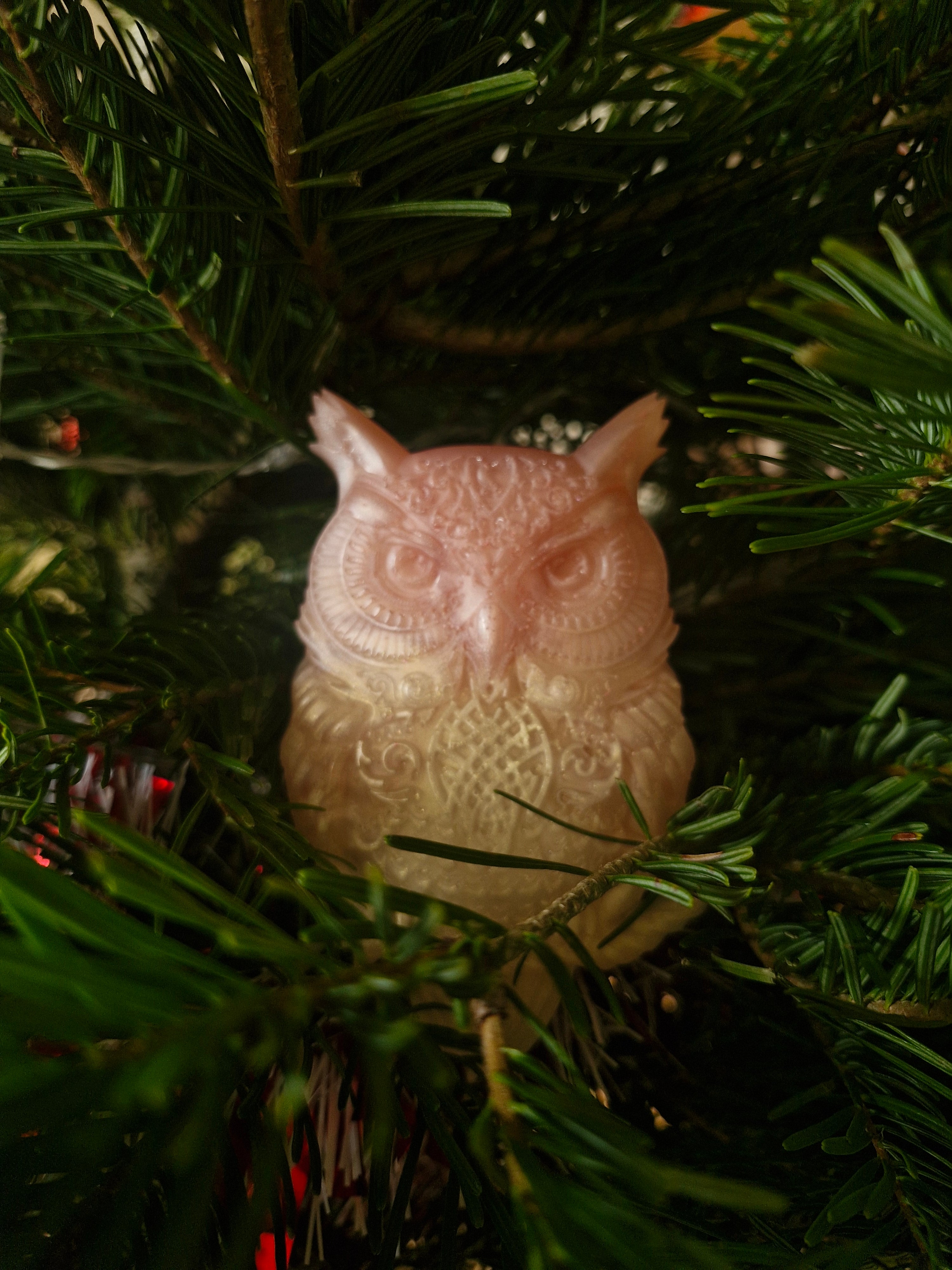 Hiboux tendre de rose