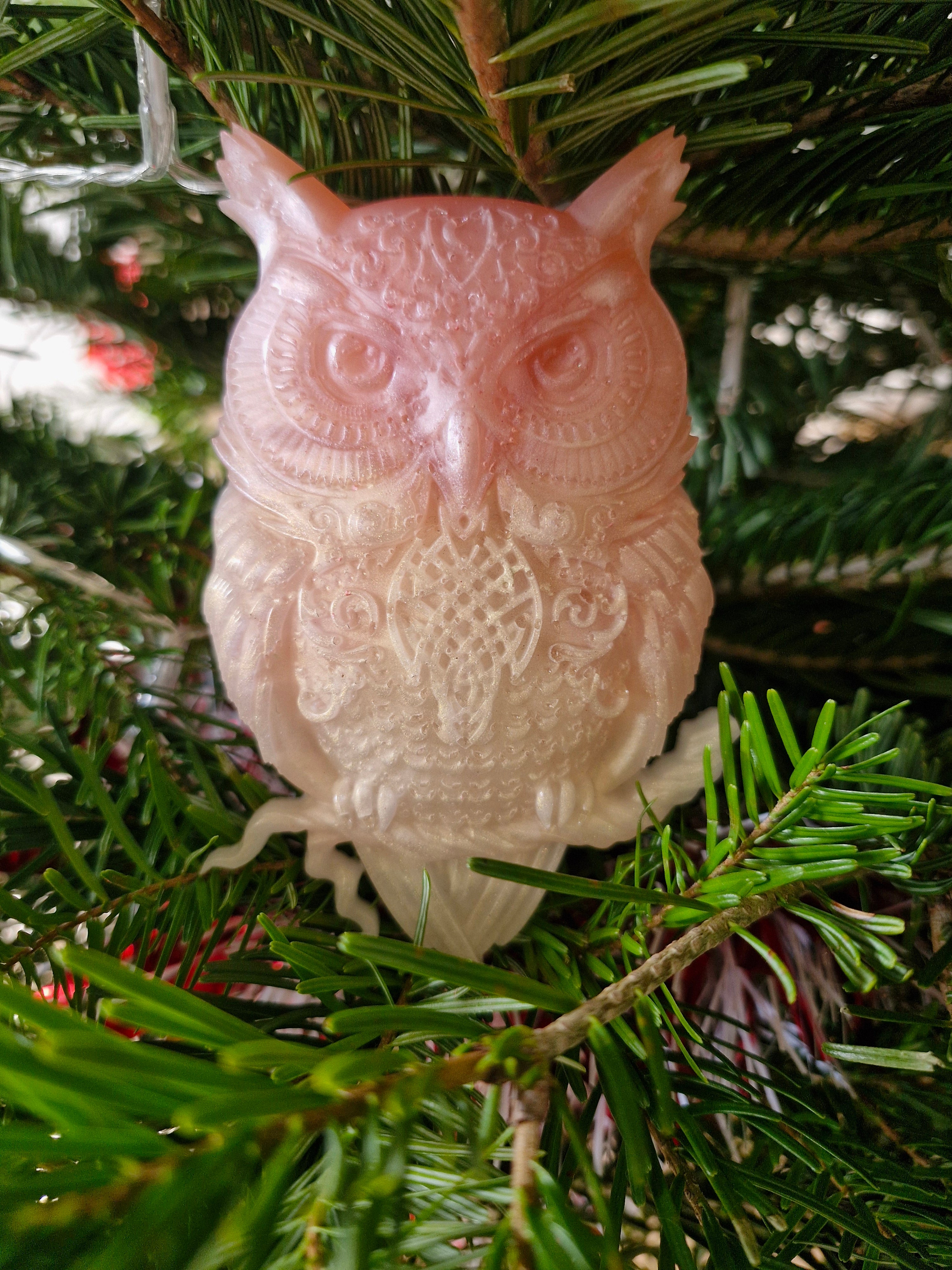 Hiboux tendre de rose